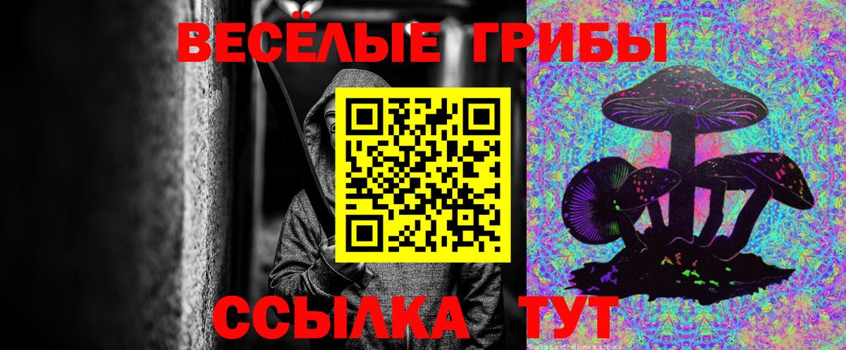 Альметьевск  Галлюциногенные грибы мухоморы  Галлюциногенные грибы Psilocybine cubensis  магазин продажи наркотиков  Вход с VPN 