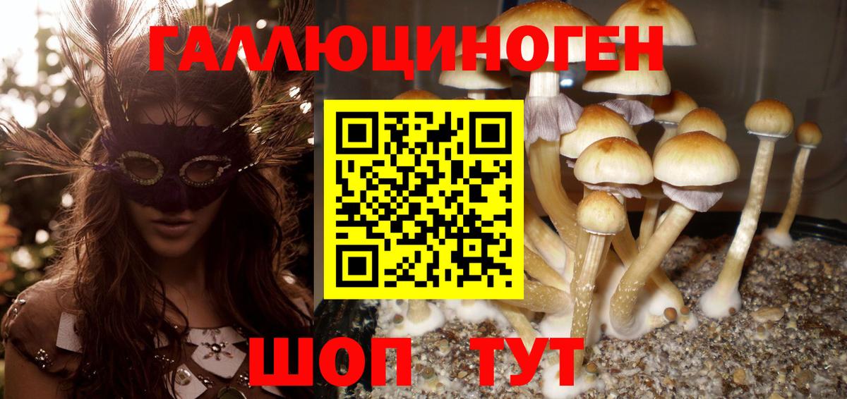 Псилоцибиновые грибы мицелий Альметьевск